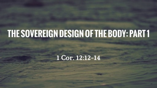 The Sovereign Design of the Body: Part 1
