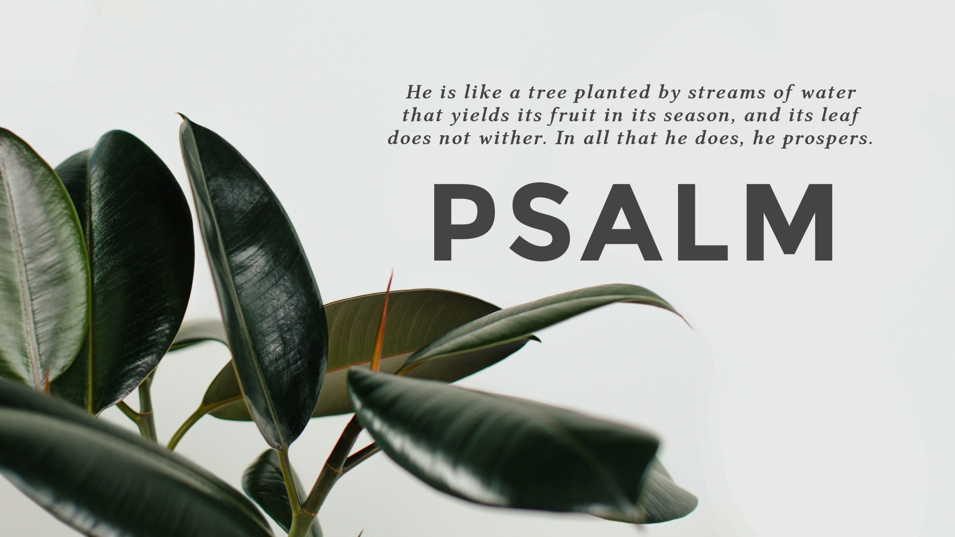Psalm Logos Sermons psalm-logos-sermons