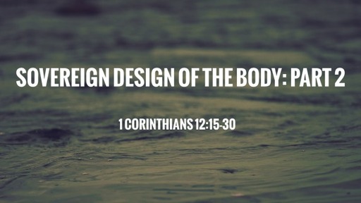 Sovereign Design of the Body: Part 2