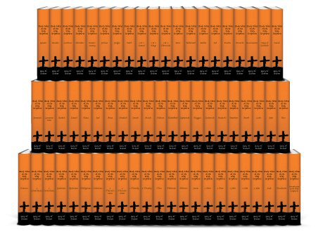 Study Notes on the Holy Scriptures (64 vols.) Study Notes on the Holy Scriptures (64 vols.)