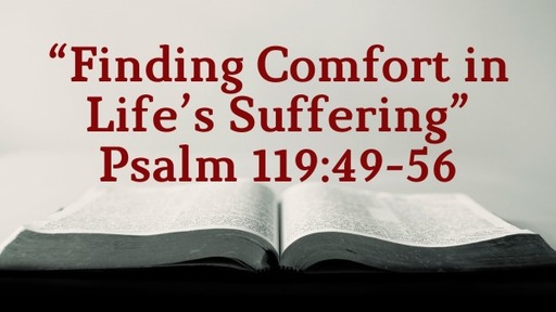 Finding Comfort in Life's Suffering