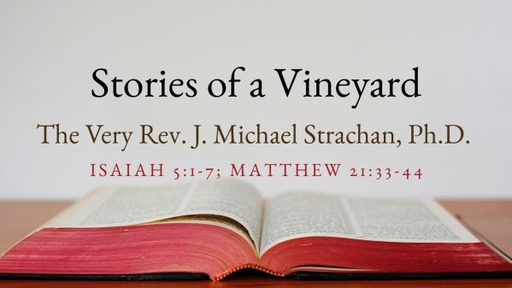 Stories of a Vineyard