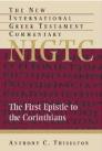 The First Epistle to the Corinthians The First Epistle to the Corinthians