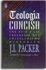 Teología concisa Teología concisa
