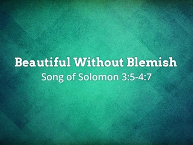 Beautiful Without Blemish - Pastor David Kanski