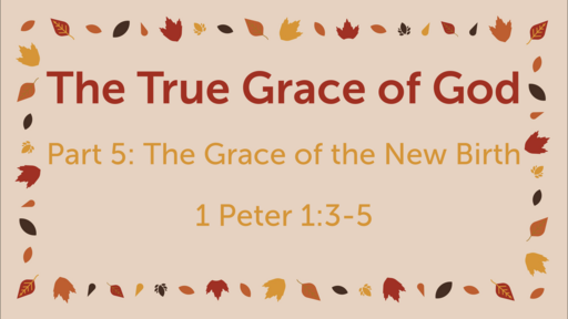 Derrick Trent - The True Grace of God Part 5: The Grace of the New Birth (full service)