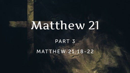 Matthew 21, Part 3