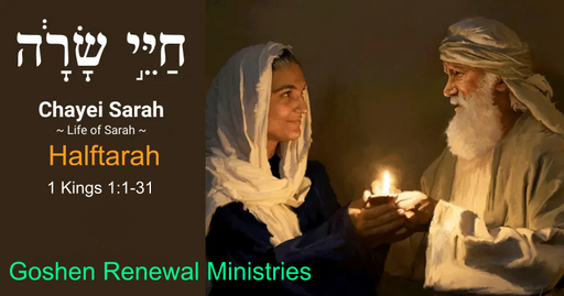 Halftarah Chayei Sarah (חַיֵּי שָֹרָה)- The Life of Sarah (November 11, 2023)