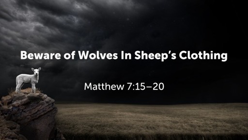 Beware of Wolves In Sheep's Clothing