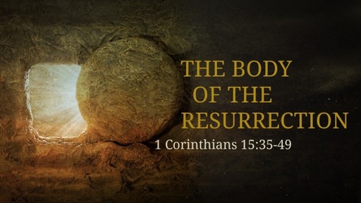 The Body of the Resurrection