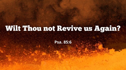 Wilt Thou not Revive us Again?