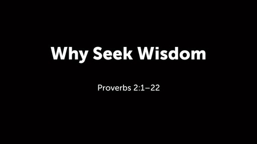 Why Seek Wisdom