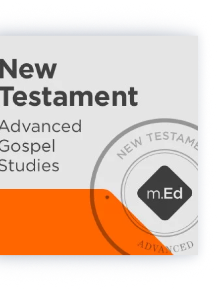 New Testament: Advanced Gospel Studies Study Bundle 