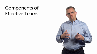 Components of Effective Teams