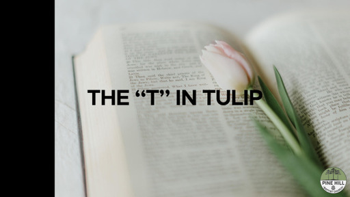 The "T" in TULIP