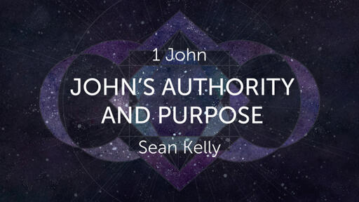 John's Authority and Purpose