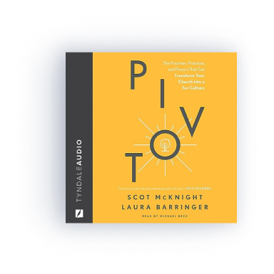 Pivot: The Priorities, Practices, and Powers That Can Transform Your Church into a Tov Culture (audio) 