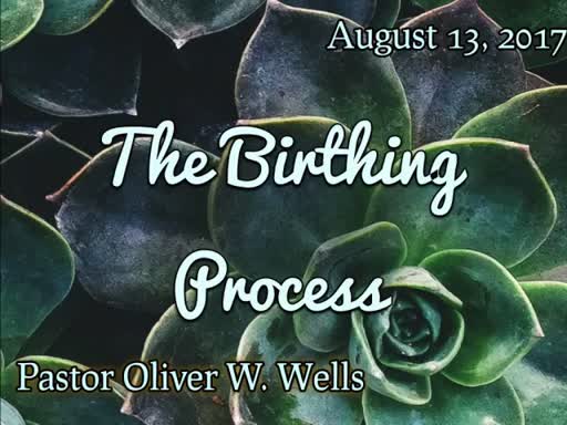 08.13.17 - The Birthing Process