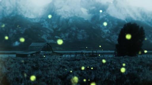 Summer Night Fireflies - Countdown 3 min