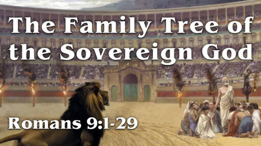 Romans 9:1-29