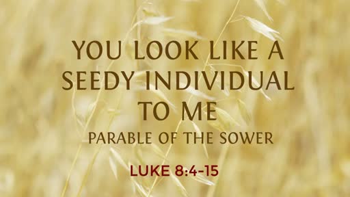 Seedy: Parable of the Sower
