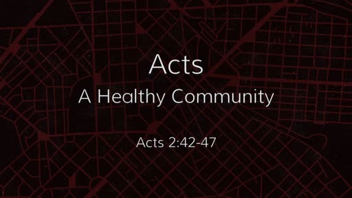 Acts: A Healthy Community