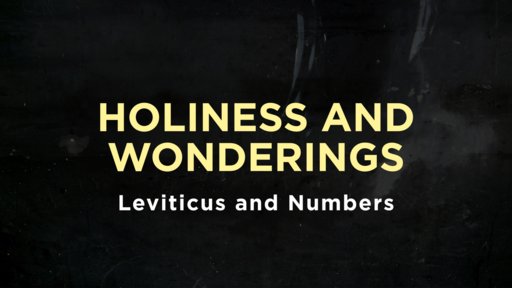 Leviticus and Numbers - Holiness and Wonderings