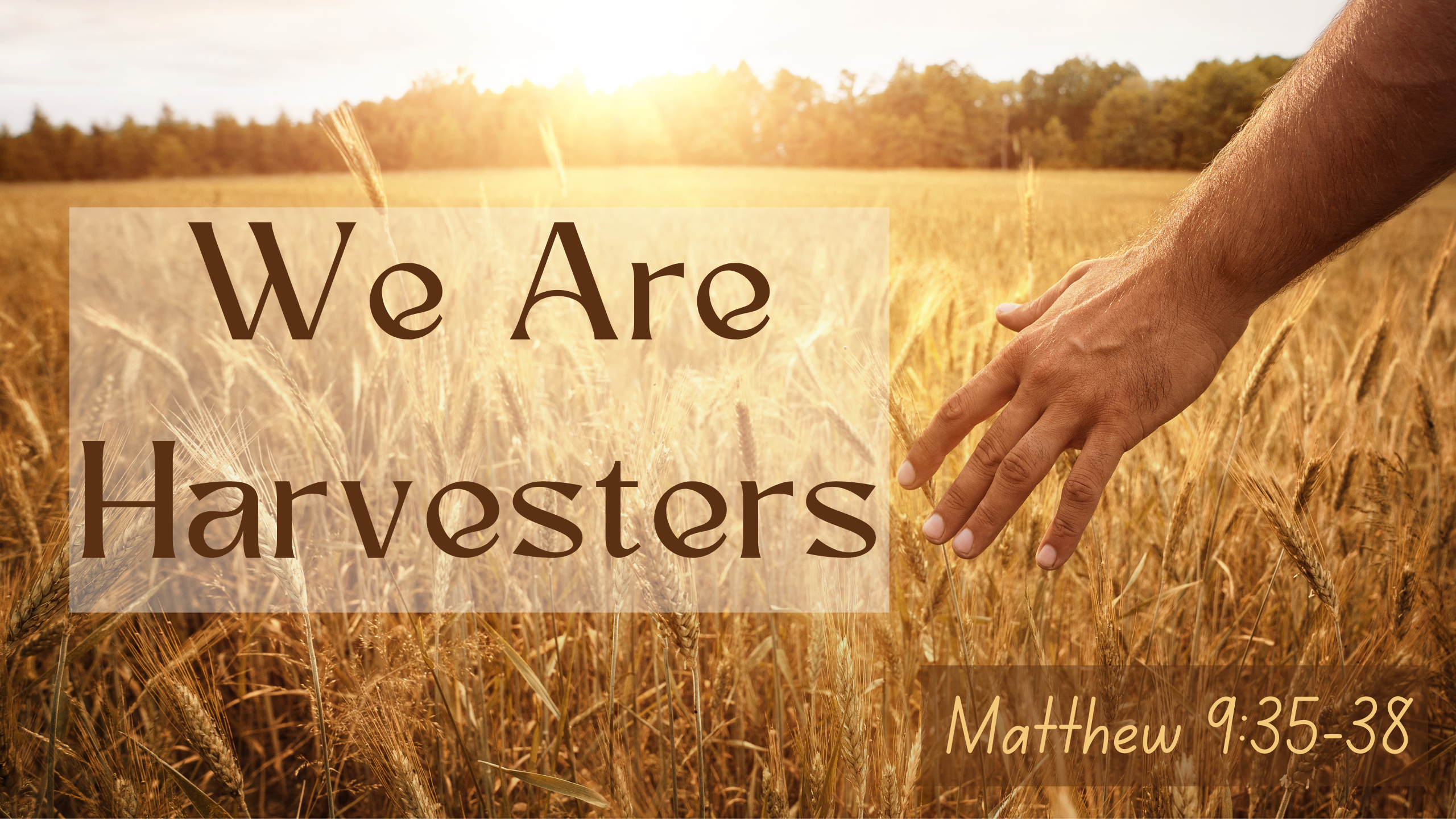 We Are Harvesters - Matthew 9:35-38 - Logos Sermons