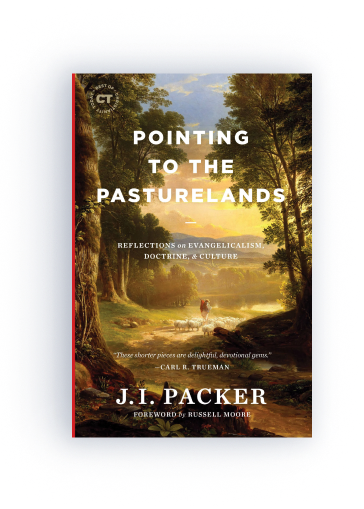 Pointing to the Pasturelands: Reflections on Evangelicalism, Doctrine, & Culture       