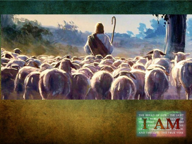 Sunday March 16 2025