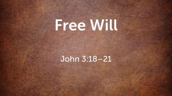 Free Will