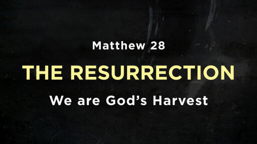 Matthew 28 - The Resurrection