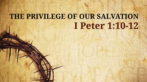 The Privilege of our Salvation