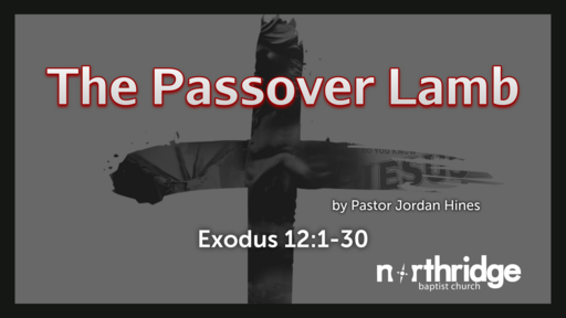 The Passover Lamb