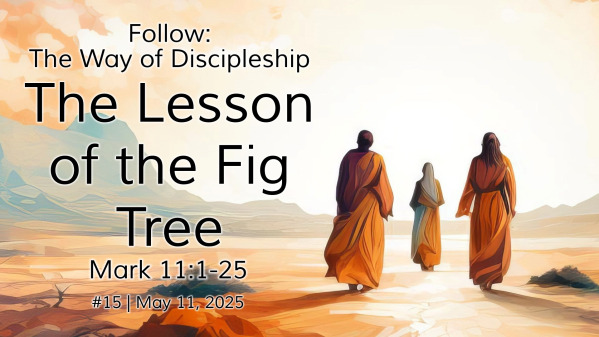 The Lesson of the Fig Tree