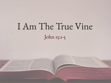 06/01/2025-I Am The True Vine-David Kanski