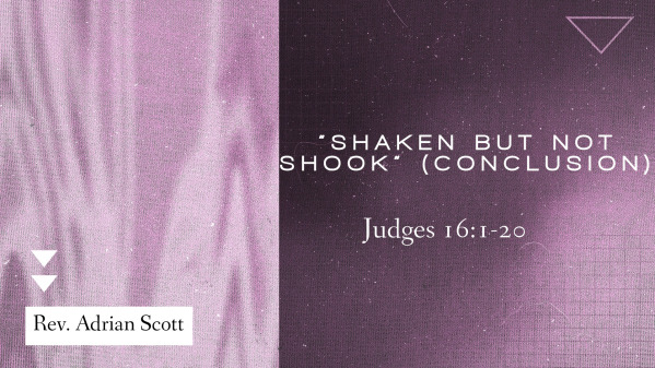 "Shaken But Not Shook" (Conclusion)