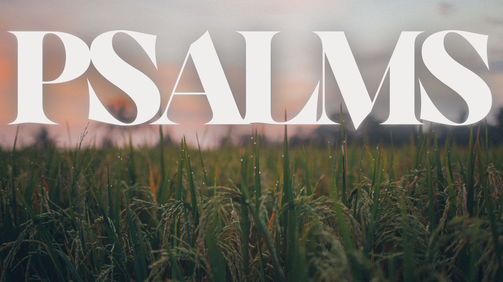 Psalm 21