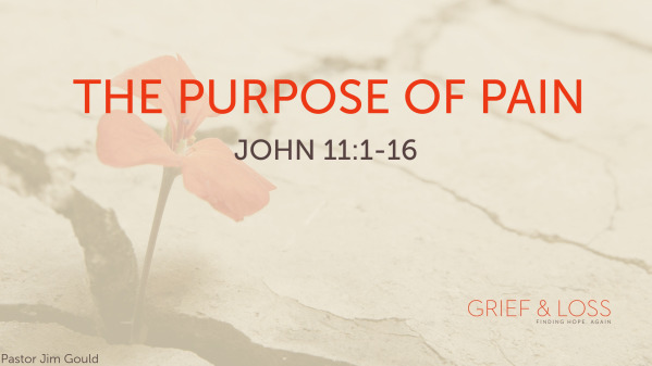 The Purpose of Pain