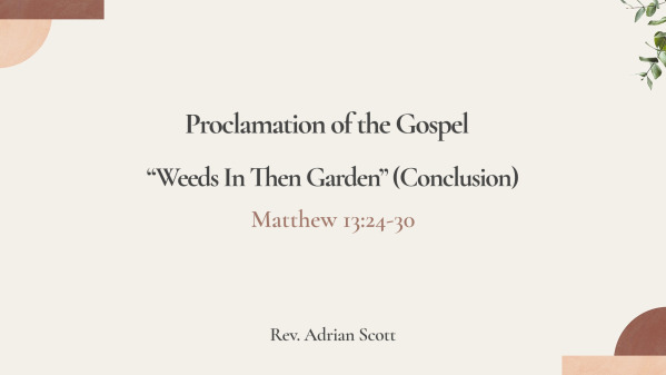 "Weeds In The Garden" (Conclusion)