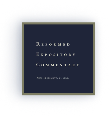 New Testament, 21 vols (Reformed Expository Commentary Series | REC )     