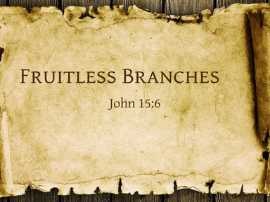 07/27/2025 - Fruitless Branches - David Kanski