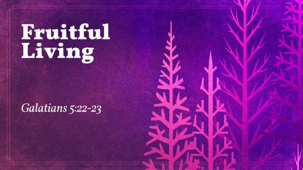 The Sermon on the Mount (26)