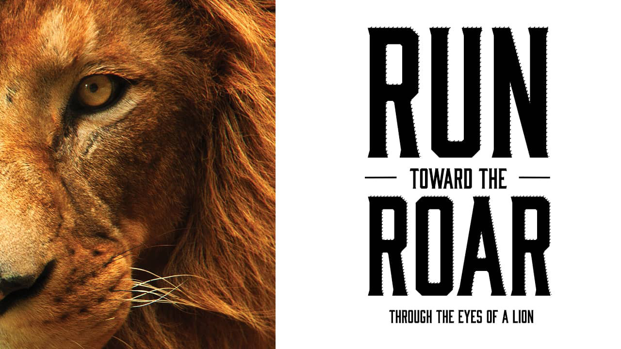 Run To the Roar, Series