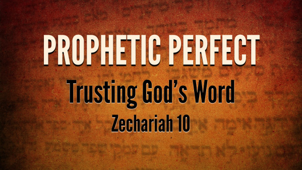 Prophetic Perfect