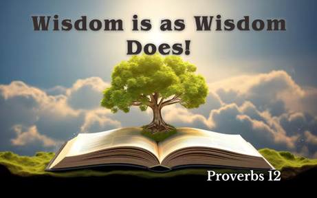 Proverbs 12 - Wisdom is as Wisdom Does!