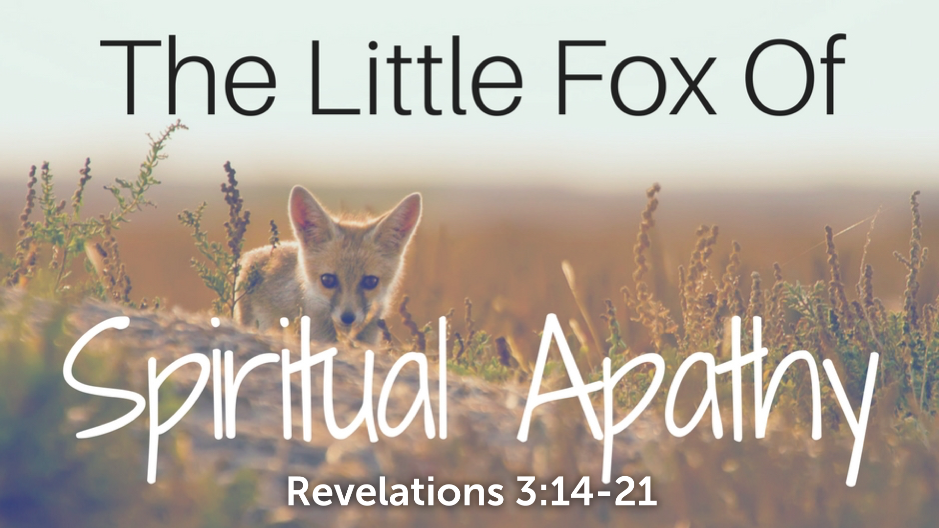 the-little-fox-of-spiritual-apathy-faithlife-sermons