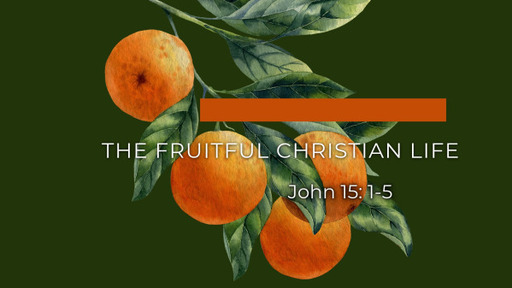 Dan Currie- The Fruitful Christian Life
