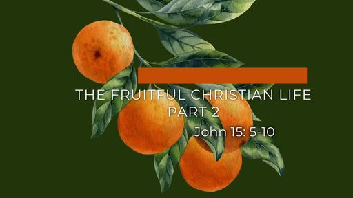Dan Currie- The Fruitful Christian Life part 2