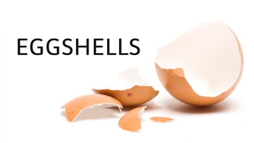 EggShells Part 1